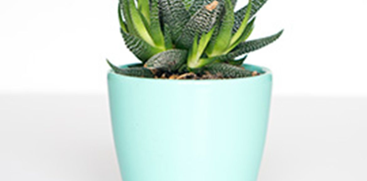 Decorate Your House